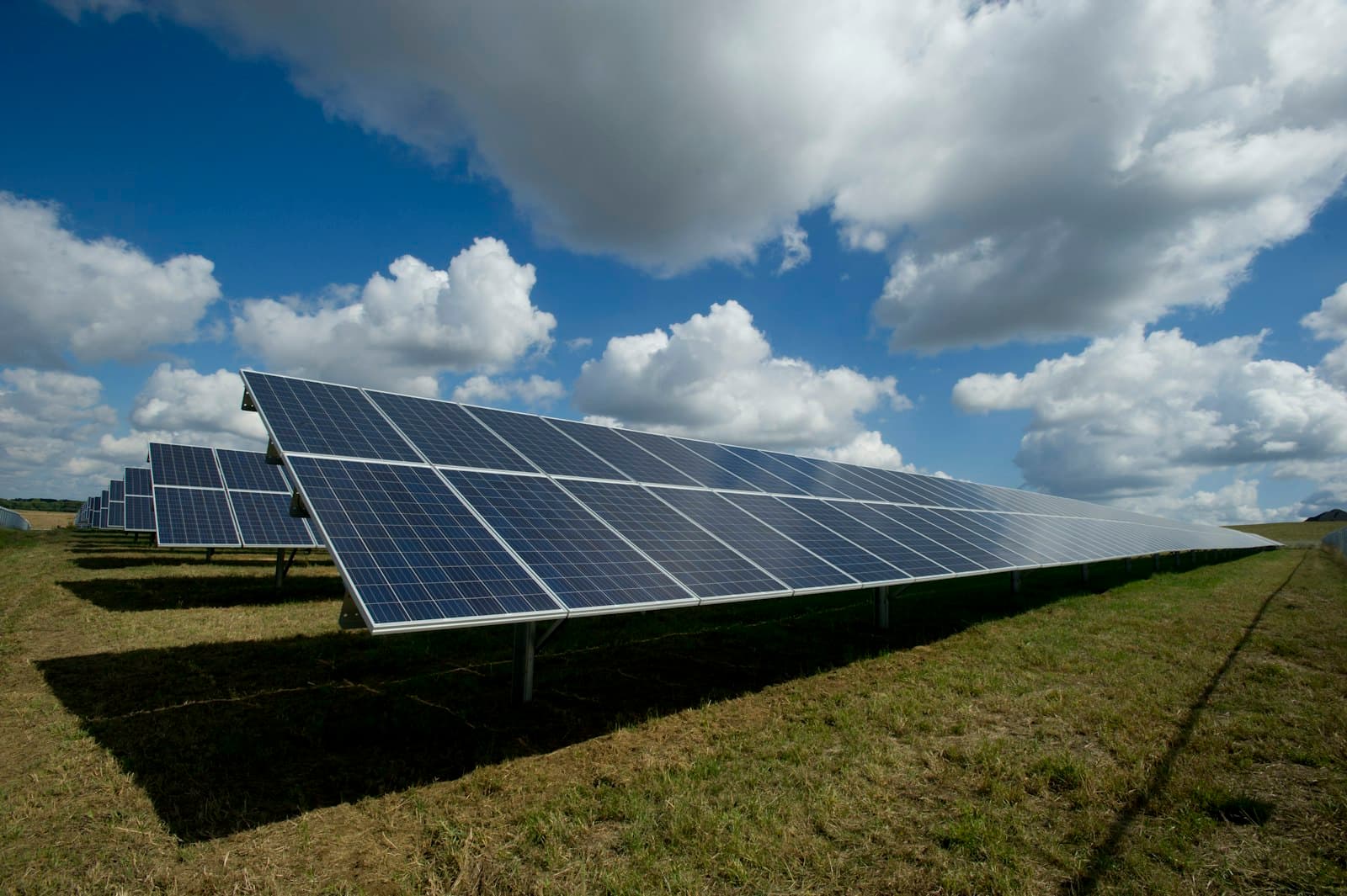 Champ de panneaux photovoltaiques en plein soleil aux Antilles