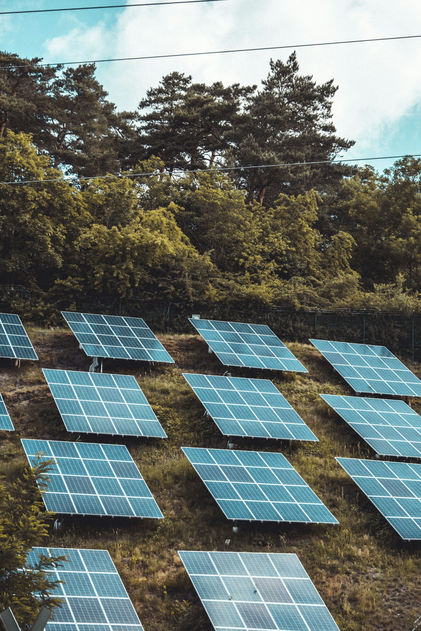 Champ de panneaux photovoltaïques sur une colline antillaise